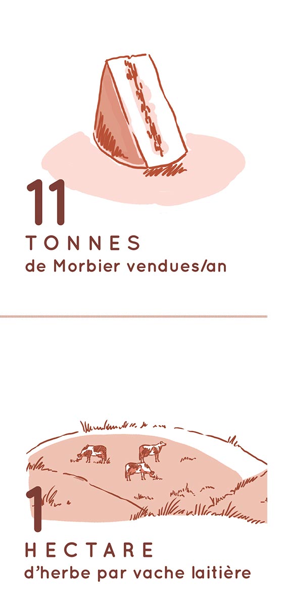 Le fromage Morbier AOP - Un trait de caractère du massif jurassien